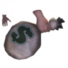Money Bag (Female)