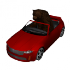 Driving Bear