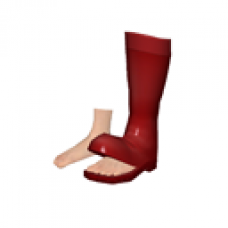 Tattered Boot