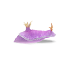 Purple Sea Slug