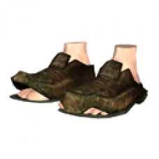 Tattered Shoes