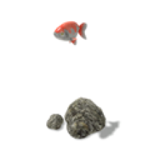 Ranchu Goldfish