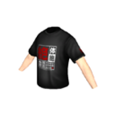 Disaster Report T-shirt