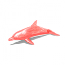 Inflatable Dolphin
