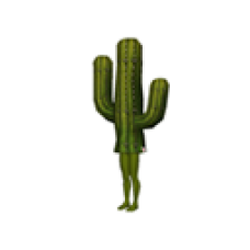 LittleBIGPlanet Cactus