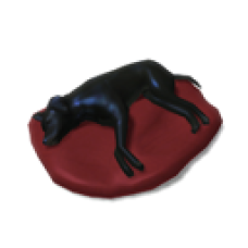 Binx