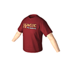 Fractured Picture Game Prize T-shirt