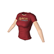Fractured Picture Game Prize T-shirt