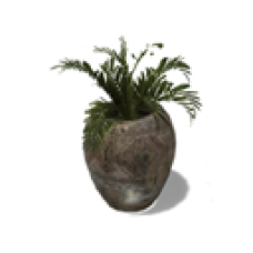 Pleasant Pot Plant