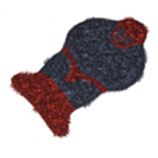Bigfoot Prize 2