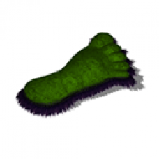 Bigfoot Prize 4