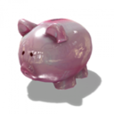 Penny Pincher Prize 4