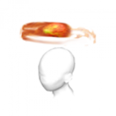 Hot Streak Comet (Female)