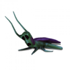 Whack Off Prize 9