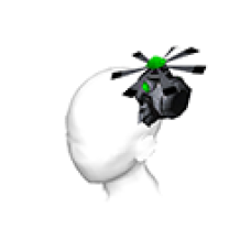 Miniature Ripper (Male)
