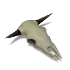 Cow Skull