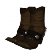 Cowboy Boots