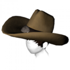 Cowboy Hat
