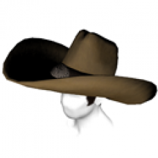 Cowboy Hat