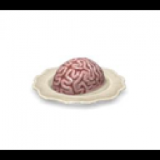 Brain on plate