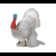 Stone Turkey Statue