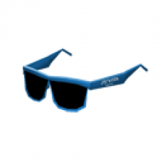 PlayStation Vita Sunglasses (Female)