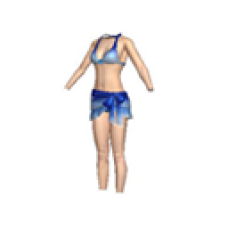 Dolphin Swimsuit (Blue, Female)