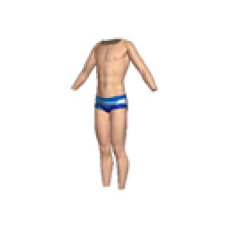Dolphin Swimsuit (Blue, Male)
