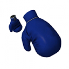 Blue Boxing Gloves