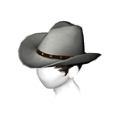 PlayStation®Home Hold 'em Cowboy Hat