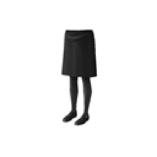 School Skirt and Shoes