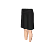 School Skirt
