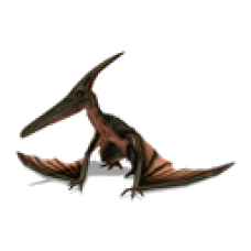Prehistoric Canyon Prop Pteranodon