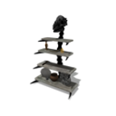 Prehistoric Canyon Pachycephalosaurus Shelves