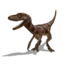 Prehistoric Canyon Prop Velociraptor