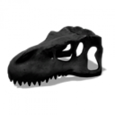Prehistoric Canyon T-Rex Skull Chair