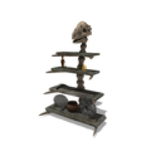 Prehistoric Valley Pachycephalosaurus Shelves