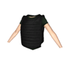 Female Military Top