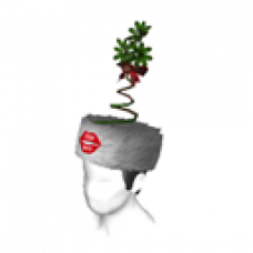 Mistletoe Hat (Male)