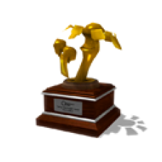 Spring Fling 2012 Trophy