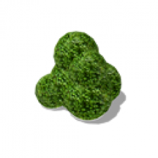 Bubble Bush (Small)