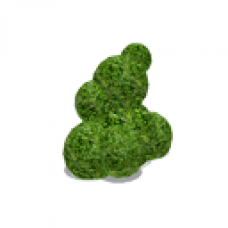 Bubble Bush (Large)