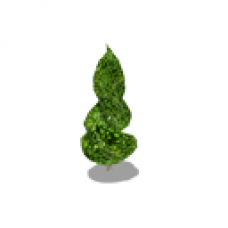 Topiary (Small)