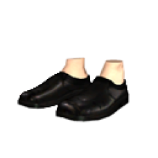 Doctors outfit Shoes