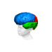 Smart As... Brain