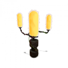 Sodium Small Floro Cactus (Orange)