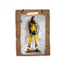 Sodium Bumblebee Body Suit Concept Wall Art