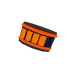 Scorpio's Wristband Grade 4