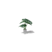 Decorative Plant, Monstera