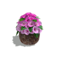 Tabletop Flowers, Bougainvillea